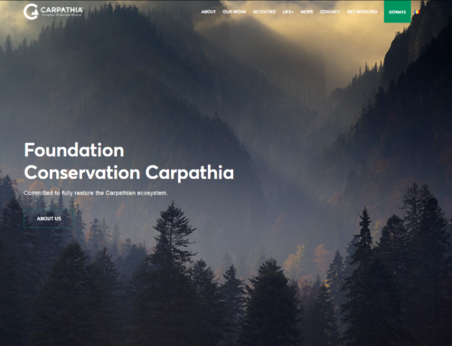 Mini-serie pentru Fundația Conservation Carpathia