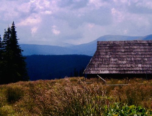 Cugirenii, aproape toți ecologiști: 96,7% susțin înființarea unei arii naturale protejate în jurul orașului