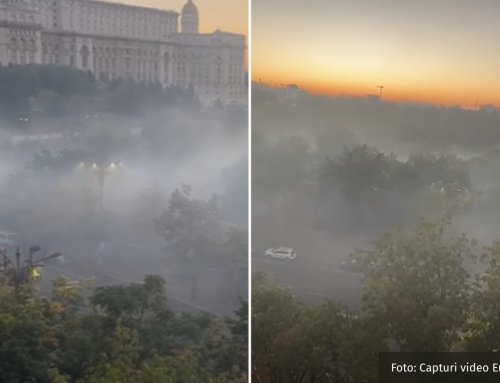 Driftul, anvelopele și poluarea. Un oximoron bucureștean
